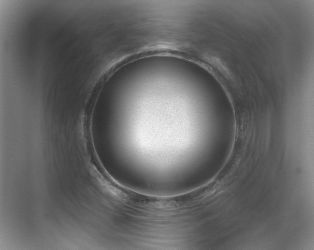 X0000070421404200606091226