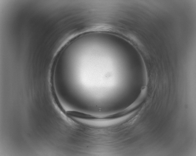 X0000070421422200606091226