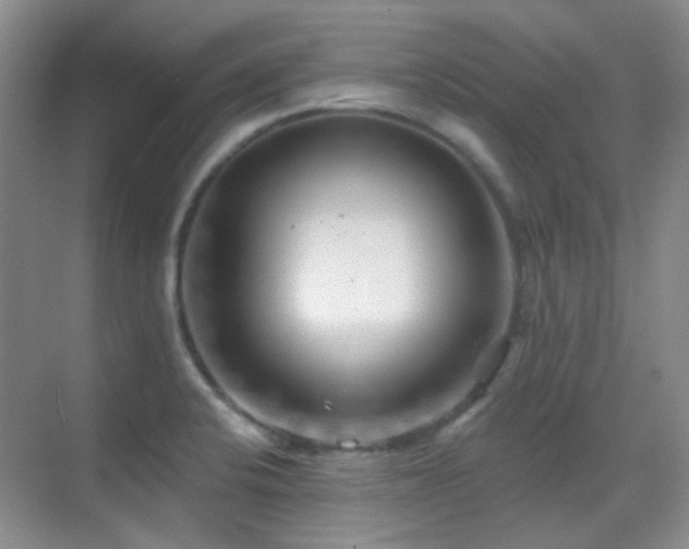 X0000070421424200606091226