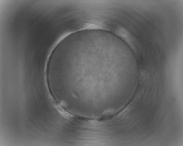 X0000070421427200606091226