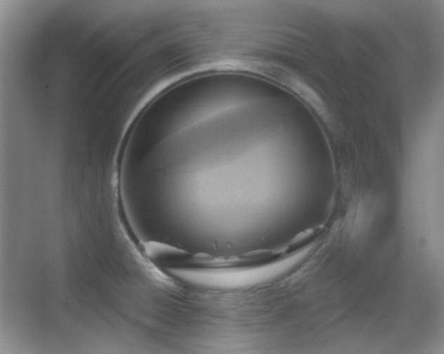 X0000070421428200606091226
