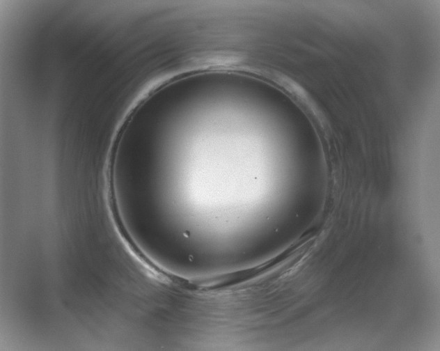X0000070421432200606091226
