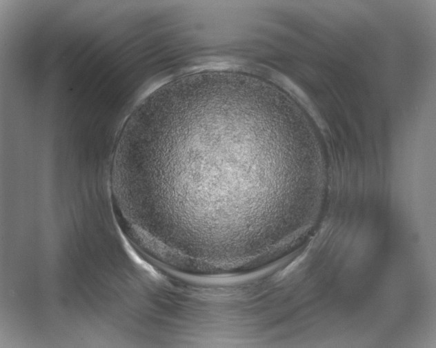 X0000070421433200606091226