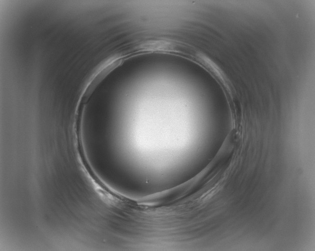 X0000070421434200606091226