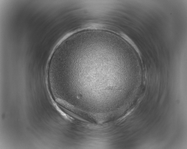 X0000070421437200606091226