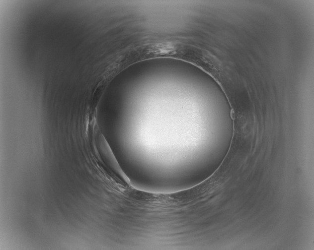 X0000070421442200606091226