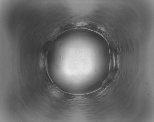 X0000070421443200606091226
