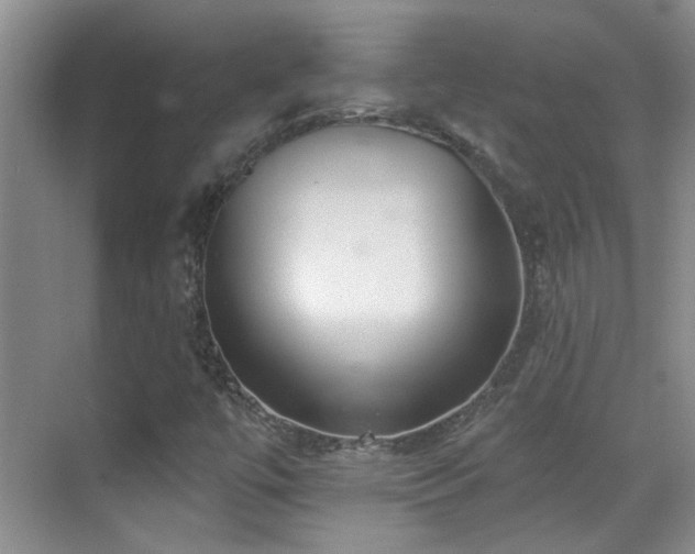 X0000070421447200606091225