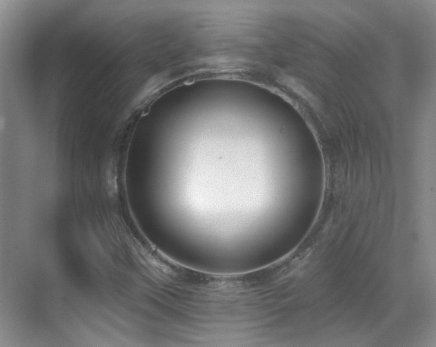 X0000070421451200606091225