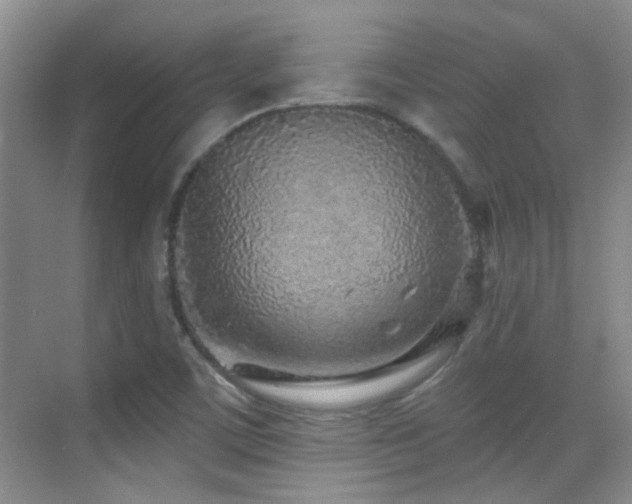 X0000070421459200606091225
