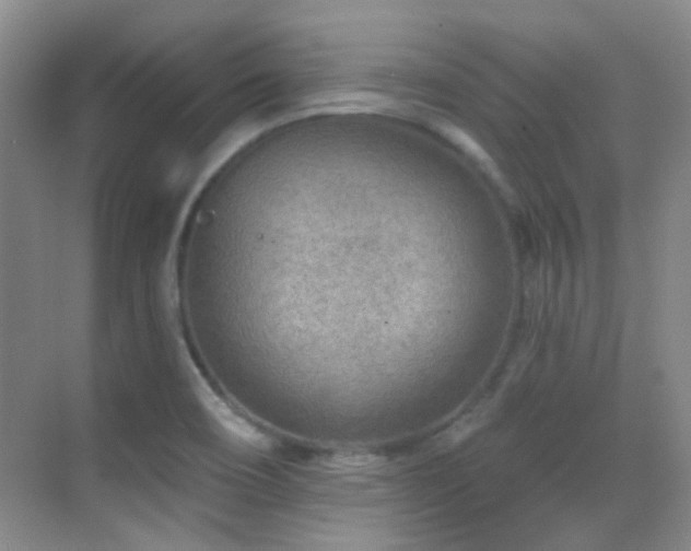 X0000070421466200606091225