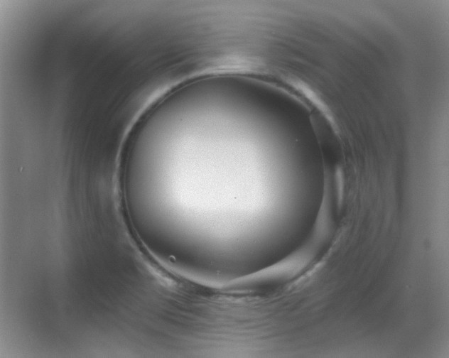 X0000070421469200606091225