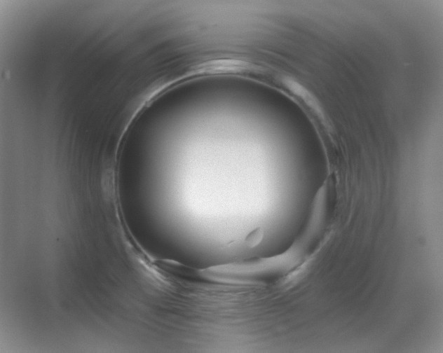 X0000070421473200606091225