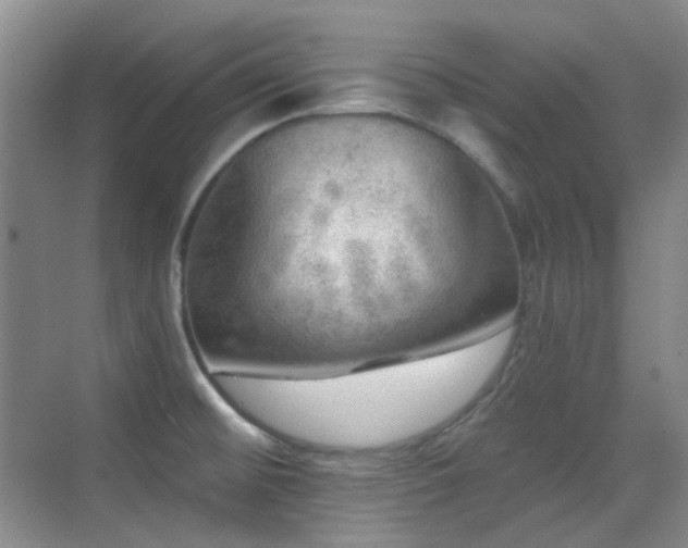 X0000070421476200606091225