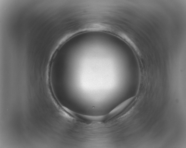 X0000070421477200606091225