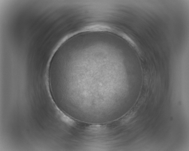 X0000070421478200606091225