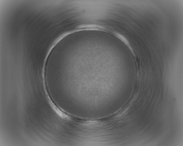 X0000070421482200606091225