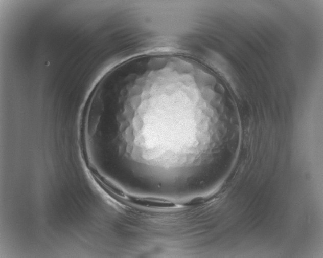 X0000070421483200606091225