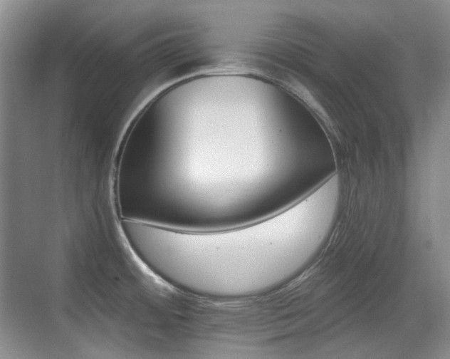 X0000070421484200606091225