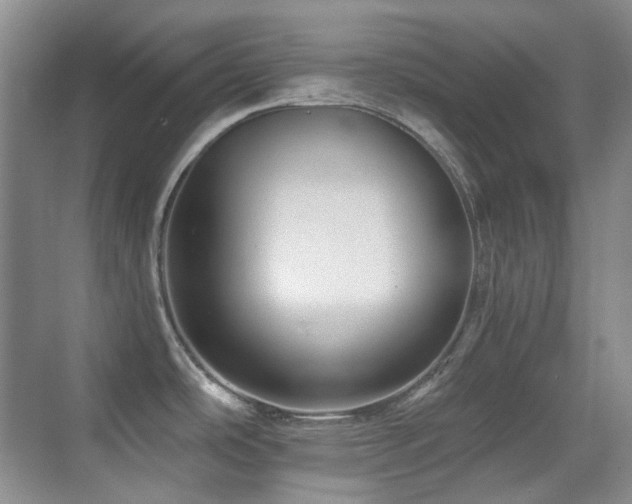 X0000070421486200606091225