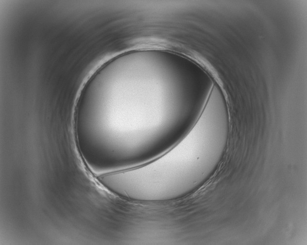 X0000070421488200606091225