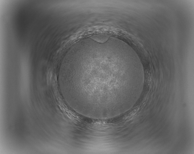 X0000070421489200606091224