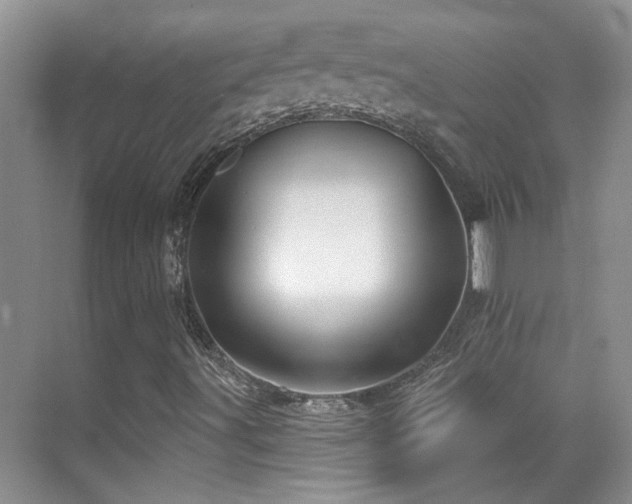 X0000070421491200606091224