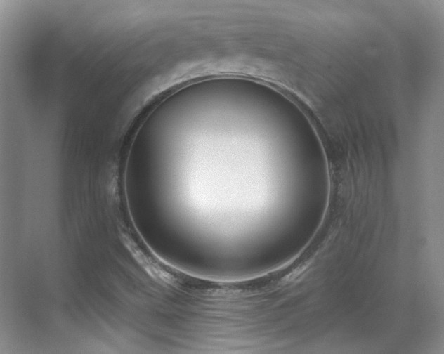 X0000070421499200606091224