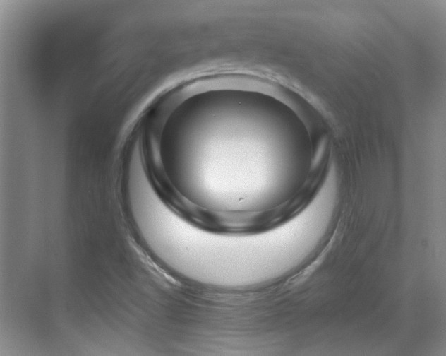 X0000070421502200606091224