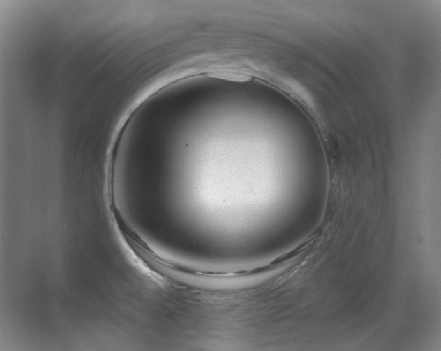 X0000070421528200606091225