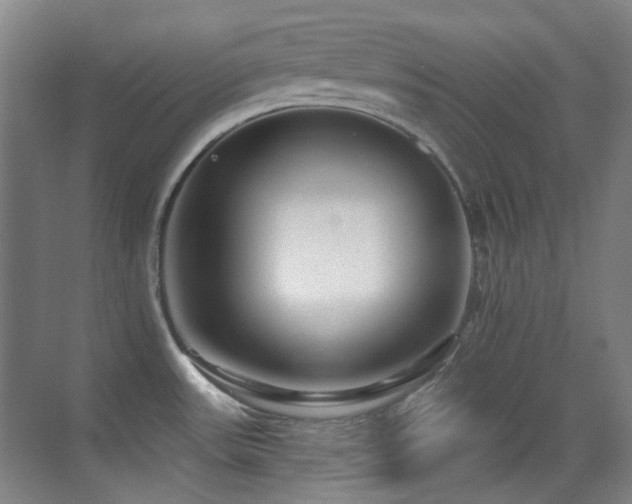 X0000070421531200606091225