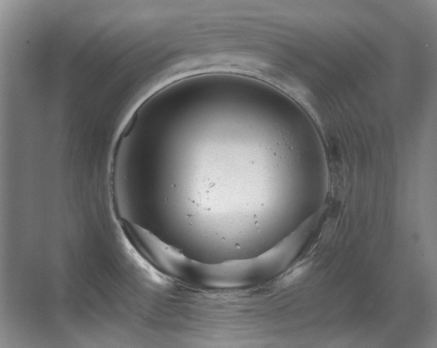 X0000070421532200606091225