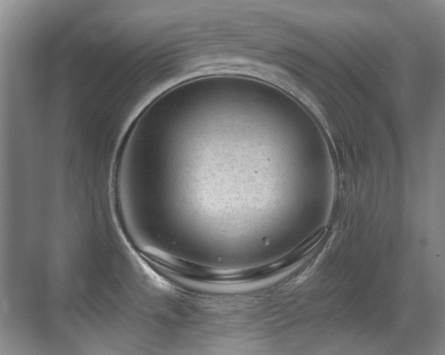 X0000070421533200606091225