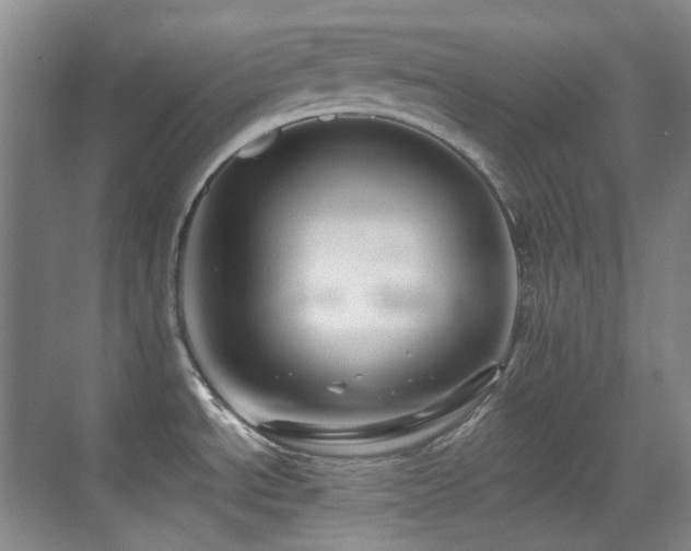 X0000070421534200606091225