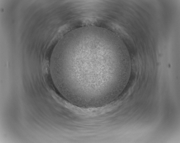 X0000070420038200606121357