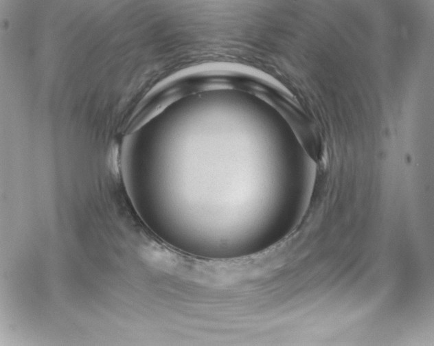 X0000070420041200606121357