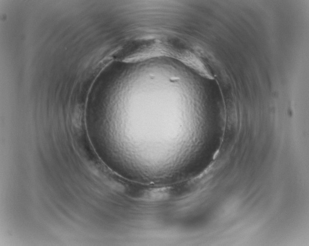 X0000070420078200606121356