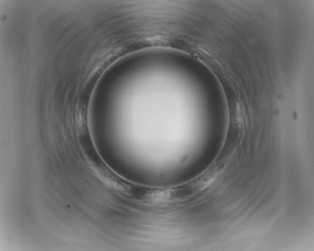 X0000070420084200606121356