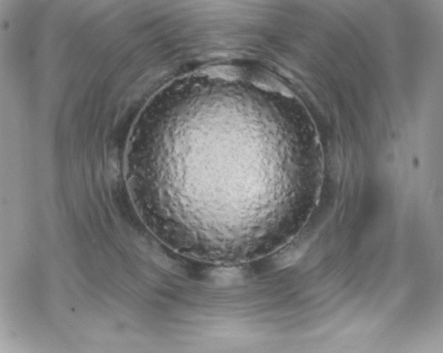 X0000070420085200606121356