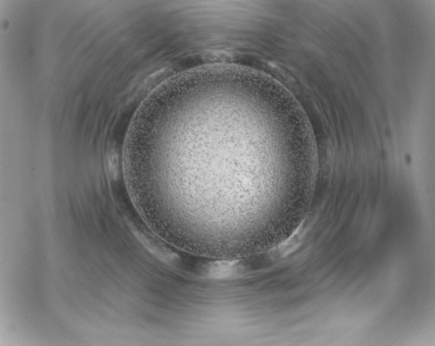 X0000070420090200606121356
