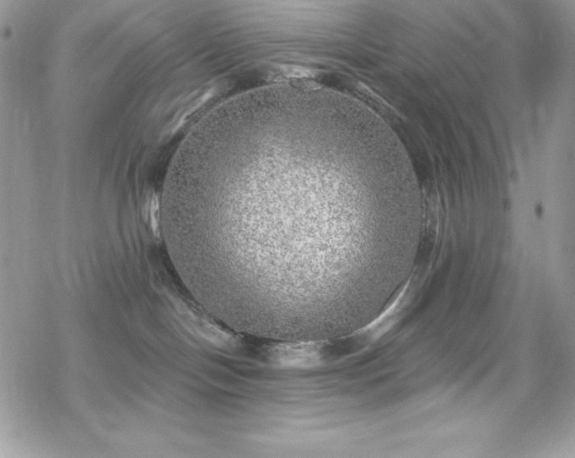 X0000070420094200606121356