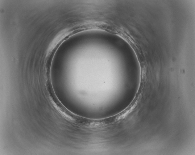 X0000070420101200606121356
