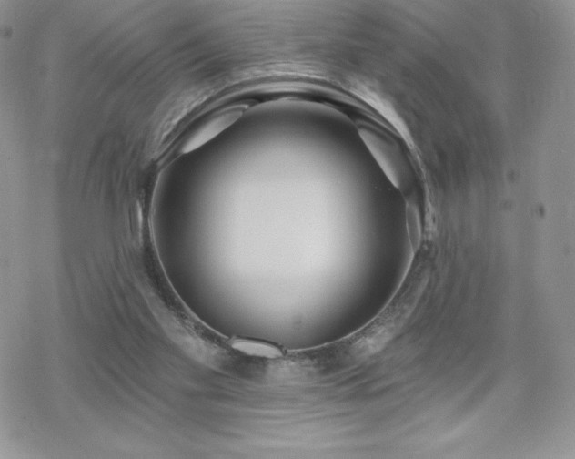 X0000070420109200606121355
