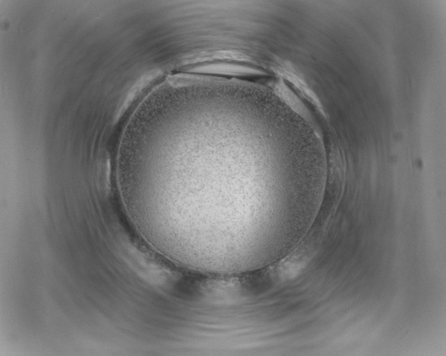 X0000070420110200606121355
