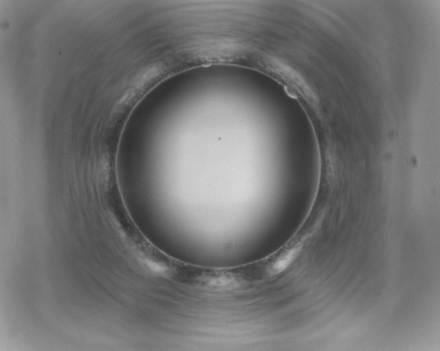 X0000070420113200606121355