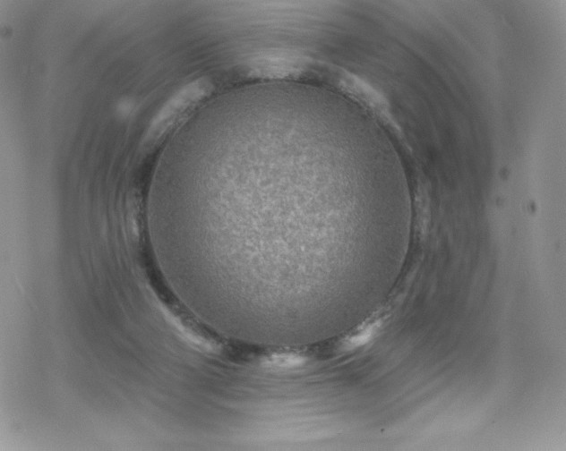 X0000070420114200606121355