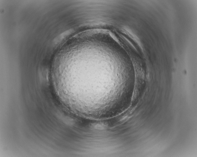 X0000070420115200606121355
