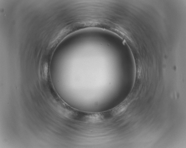 X0000070420118200606121355