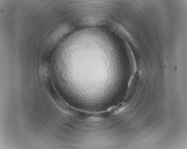 X0000070420119200606121355