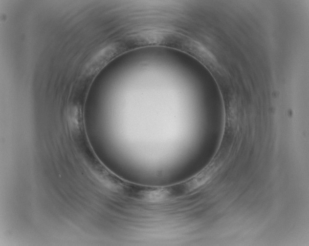 X0000070420122200606121355